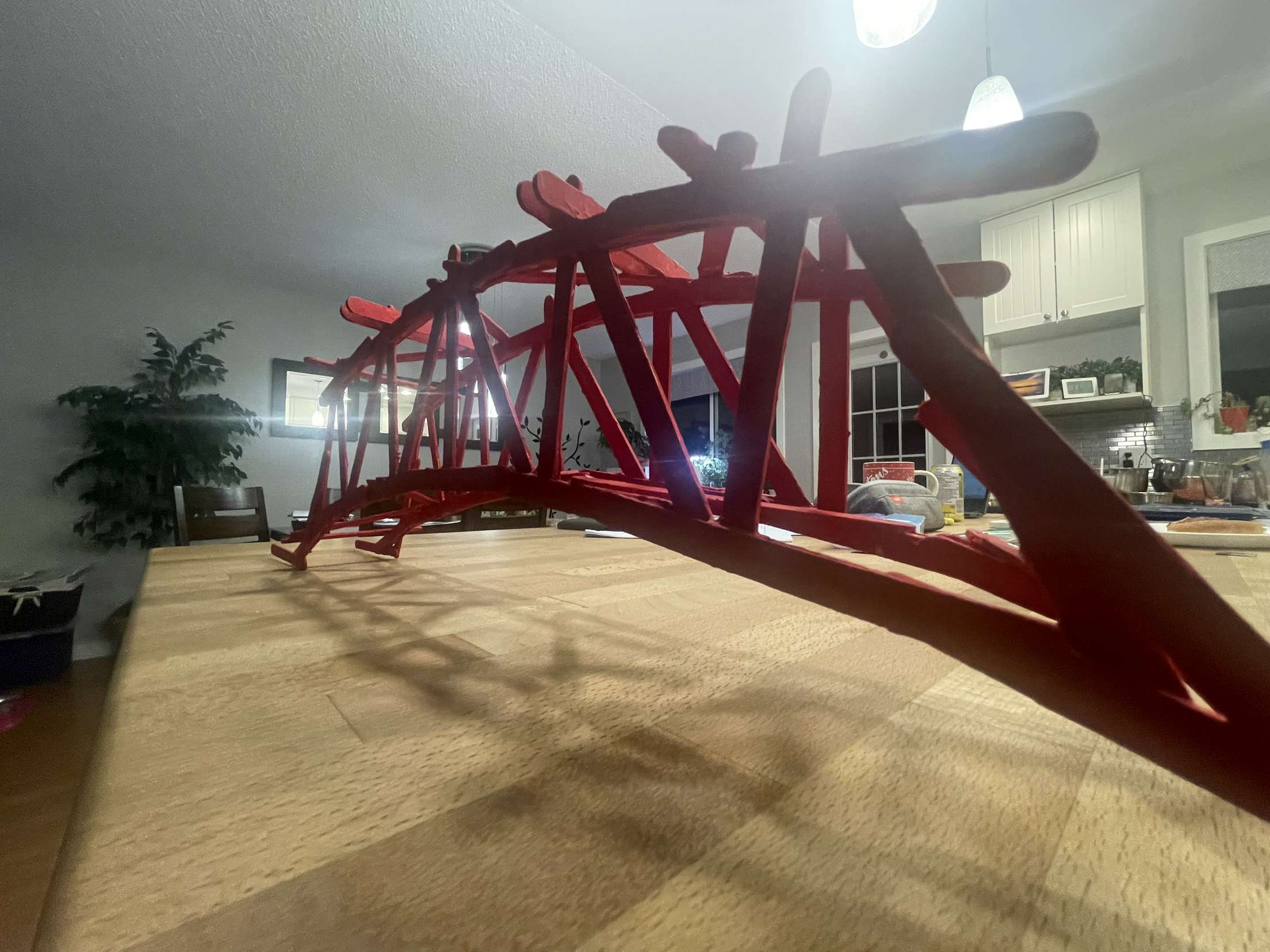 Finished elliptical arch popsicle-stick bridge.