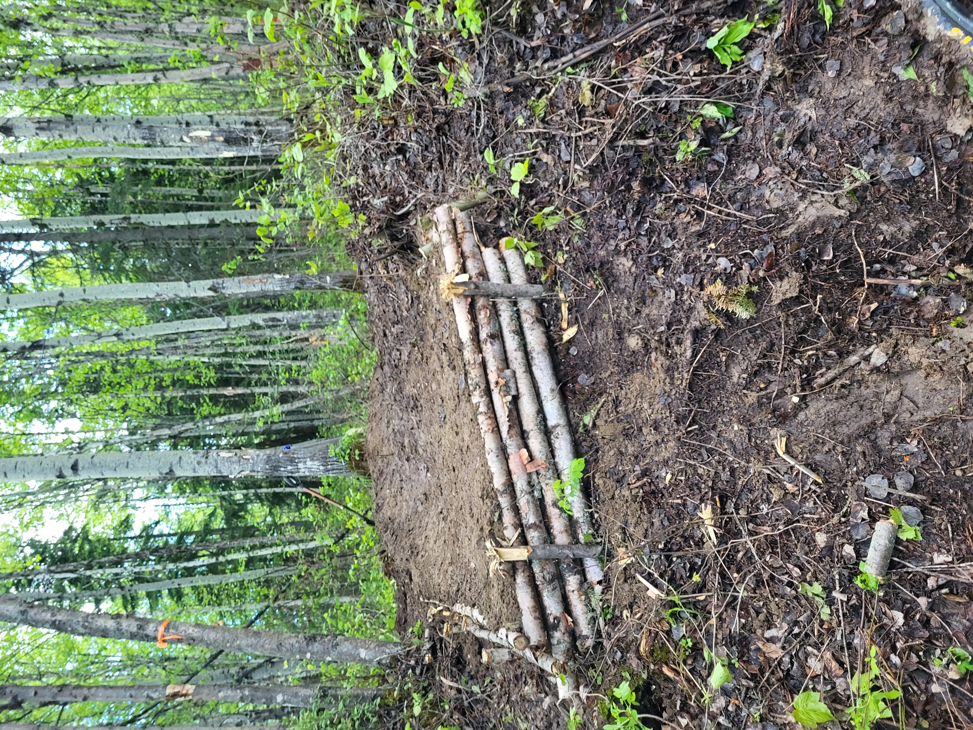 First feature completed on trail.