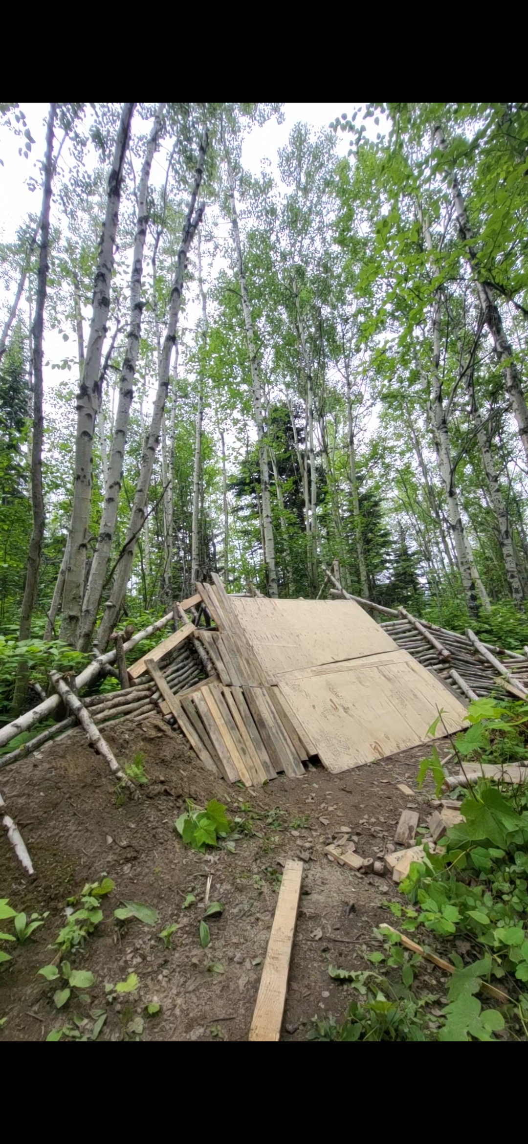 Finished Timberline chair feature at night.